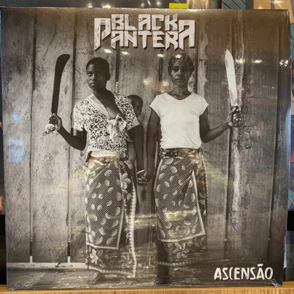 CAPA - DISCO DE VINIL
