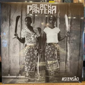 CAPA - DISCO DE VINIL